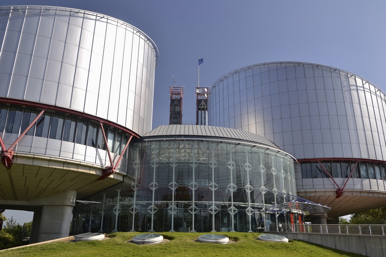 Cour européenne des droits de l'homme