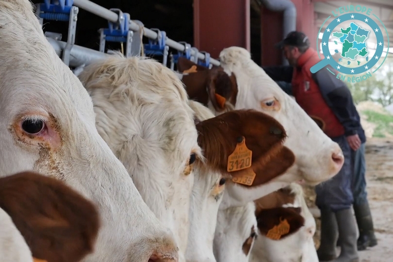 Philippe et Hélène Lefeuvre produisent du lait bio dans leur ferme, à Rennes - Crédits : Région Bretagne