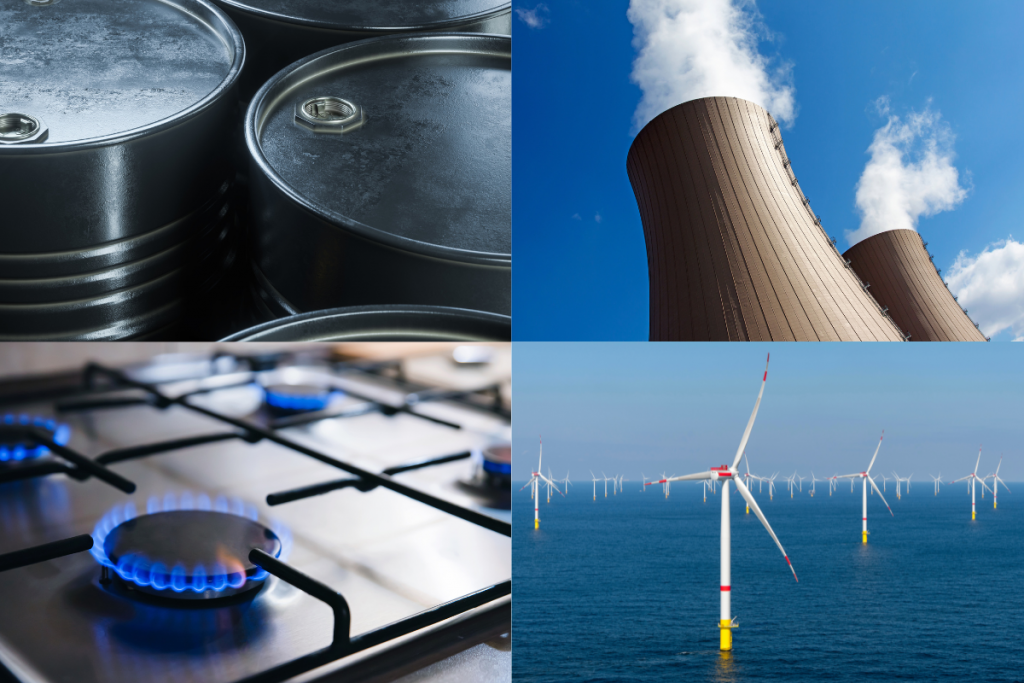 Les Etats membres de l'Union européenne mobilisent différentes énergies pour couvrir leurs besoins
