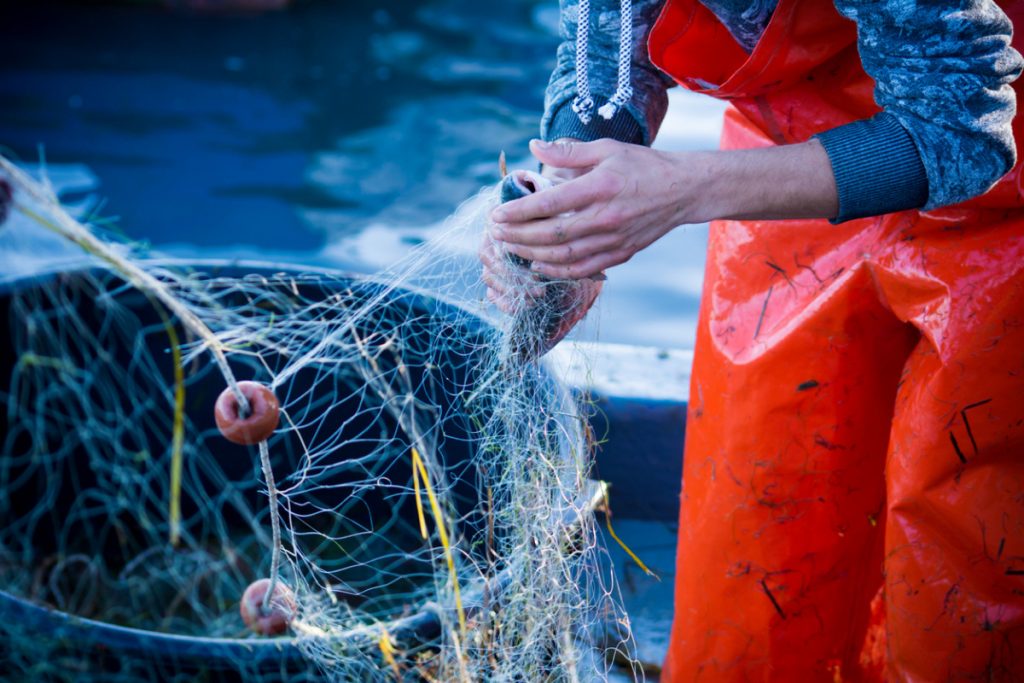 Le FEAMP intervient dans le cadre de la politique commune de la pêche et de la politique maritime intégrée