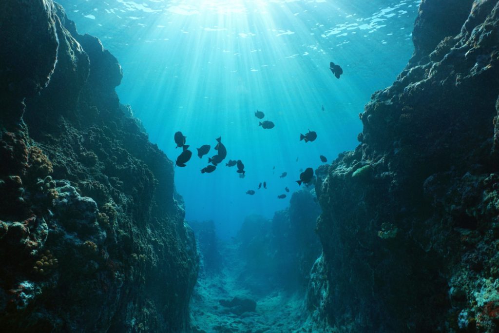 L'interdiction du chalutage de fond dans les aires marines protégées est la mesure phare proposée par la Commission européenne