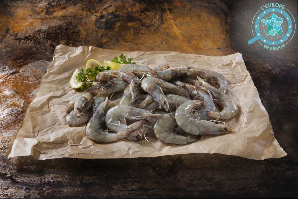 Près de la moitié des crevettes importées en Europe sont originaires d'Equateur où leur production a d'importantes conséquences sur la biodiversité