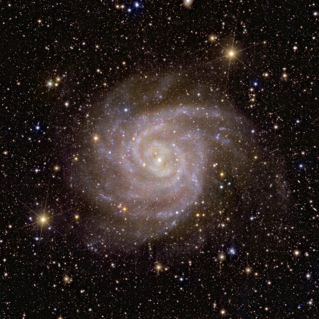 Galaxie IC 342 - Crédits : ESA/Euclid/Euclid Consortium/NASA, image traitée par J.-C. Cuillandre (CEA Paris-Saclay), G. Anselmi ; CC BY-SA 3.0 IGO