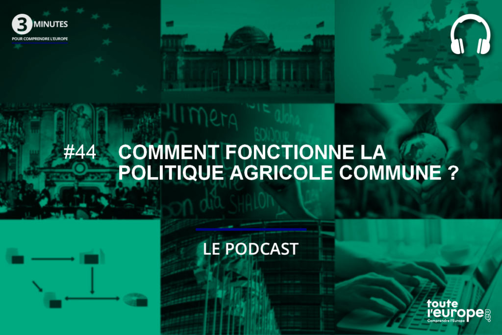 [Podcast] Comment fonctionne la politique agricole commune (PAC) ?