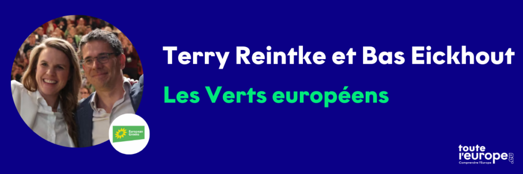 Terry Reintke, Bas Eickhout, Parti vert européen